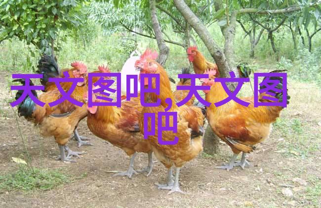 案例一