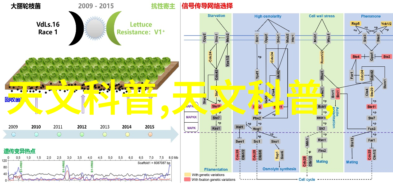 现代简约风格